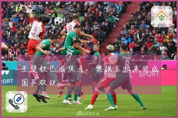王楚钦已成焦点，樊振东归来将成国乒双核